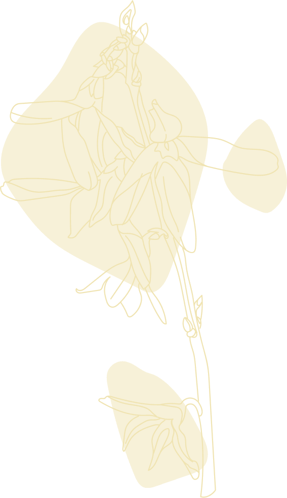 BLOOMIQUE Brand Story